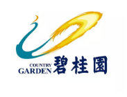 临泉碧桂园地产